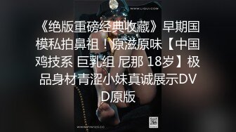 《绝版重磅经典收藏》早期国模私拍鼻祖！原滋原味【中国鸡技系 巨乳组 尼那 18岁】极品身材青涩小妹真诚展示DVD原版