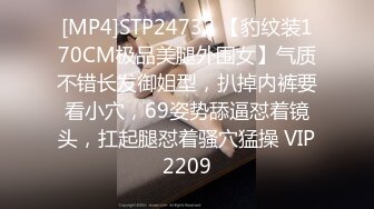 [MP4]STP24732 【豹纹装170CM极品美腿外围女】气质不错长发御姐型，扒掉内裤要看小穴，69姿势舔逼怼着镜头，扛起腿怼着骚穴猛操 VIP2209