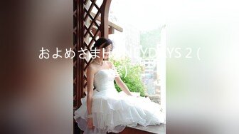 およめさまHONEYDAYS 2 (繁)