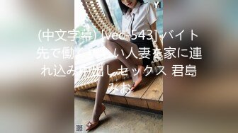 HD) MIRD-197 一夫多妻制 與討厭的中年大叔強制後宮中出！ AIKA 君島美緒 篠田優[有碼高清中文字幕]