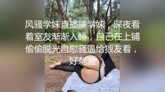 SWAG 享受快乐的惩罚-- BDSM粗糙麻绳捆绑假阳具深喉扣乳器铃铛乳夹分穴器阴唇夹Ｍ字紧缚 Fetishbody