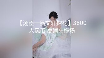 【新片速遞】超极品91新晋SSS极品尤物▌MissA▌超高颜值完美身材 女神如此反差 精湛口技沦为土豪玩物 HD版第二弹15V[1.34G/MP4/41:23]