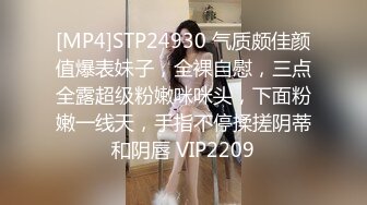 【三级】《来访者X痴女游戏》