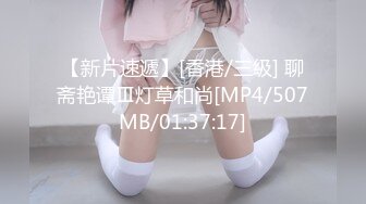 MD-0336爆乳候选人政见发表会