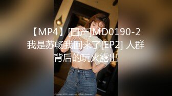 【MP4】[国产]MD0190-2 我是苏畅我回来了[EP2] 人群背后的玩火露出