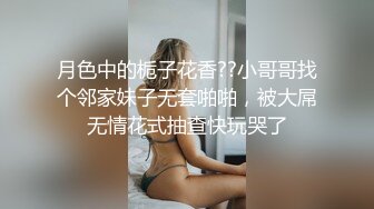 圈内东北小美妖Ts张金金