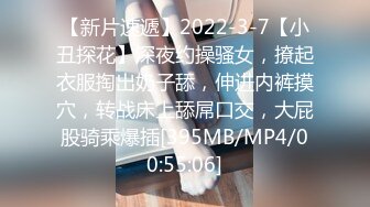 【新片速遞】2022-3-7【小丑探花】深夜约操骚女，撩起衣服掏出奶子舔，伸进内裤摸穴，转战床上舔屌口交，大屁股骑乘爆插[395MB/MP4/00:55:06]