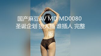 国产麻豆AV MD MD0080 圣诞企划 狼人插 谁插人 完整版