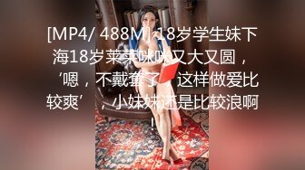 【麻豆传媒】MD-0335《三姑六奶淫中秋》家庭后宫争宠孟若羽