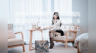 痴女捜査官～射精审问技巧篇 森川安奈