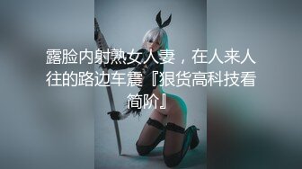 浵卡Tokar 夜阑(兔女郎ver) Yelab (Bunny ver)