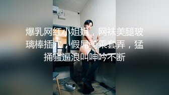 NicoLove 让老婆的姐姐帮忙解决性欲