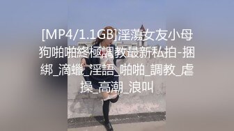 [MP4/1.1GB]淫蕩女友小母狗啪啪終極調教最新私拍-捆綁_滴蠟_淫語_啪啪_調教_虐操_高潮_浪叫