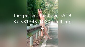 the-perfect-hosts-en-s51937-v31345-1080p_full_mp4