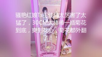 双生薄荷【1／4】