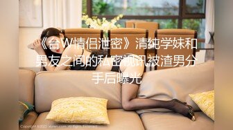 女秘书的肉体威胁-金善雅