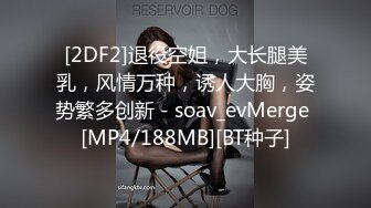 [2DF2]退役空姐，大长腿美乳，风情万种，诱人大胸，姿势繁多创新 - soav_evMerge [MP4/188MB][BT种子]