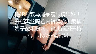 安排个泰国妹子颜值服务不错,乳推舔菊来一套,翘起屁股口交,后入侧入姿势换着操