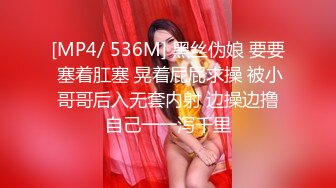 完美身材【古丽啊】绝色美女~大胸翘奶~道具操逼~各种姿势秀【10V】 (1)