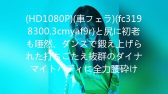 ドラレコNTR11 車載カメラは見ていたねとられの一部始終を