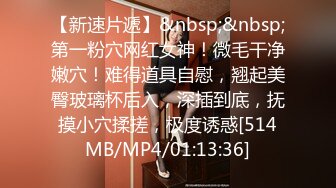 [MP4/438MB]蜜桃傳媒PMC148色經理狂操女下屬高潮抽蓄